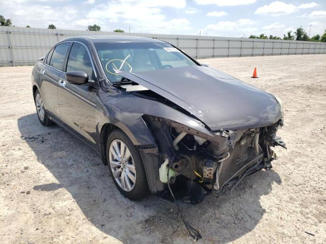 HONDA ACCORD EXL 2011 1hgcp3f84ba018412