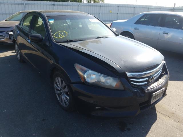 HONDA ACCORD EXL 2011 1hgcp3f84ba019169