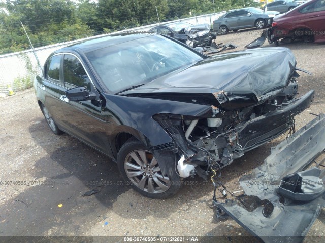 HONDA ACCORD SDN 2011 1hgcp3f84ba019592