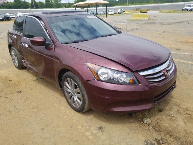 HONDA ACCORD EXL 2011 1hgcp3f84ba019737