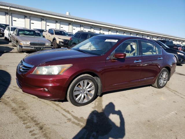 HONDA ACCORD 2011 1hgcp3f84ba021746