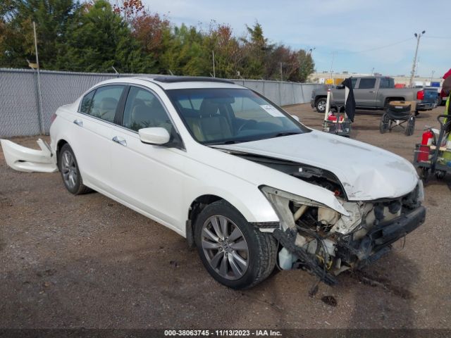 HONDA ACCORD 2011 1hgcp3f84ba023612