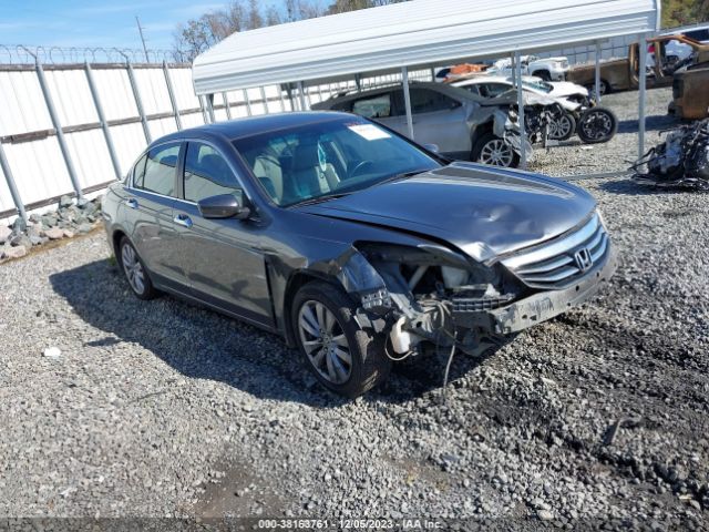 HONDA ACCORD 2011 1hgcp3f84ba024100