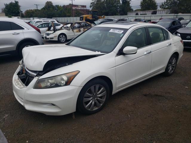 HONDA ACCORD 2011 1hgcp3f84ba024176