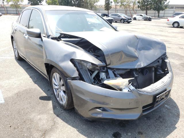 HONDA ACCORD EXL 2011 1hgcp3f84ba025814