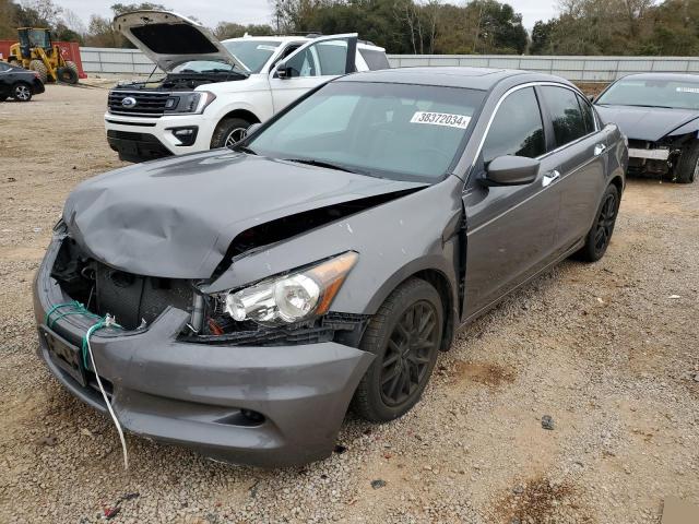 HONDA ACCORD 2011 1hgcp3f84ba026350