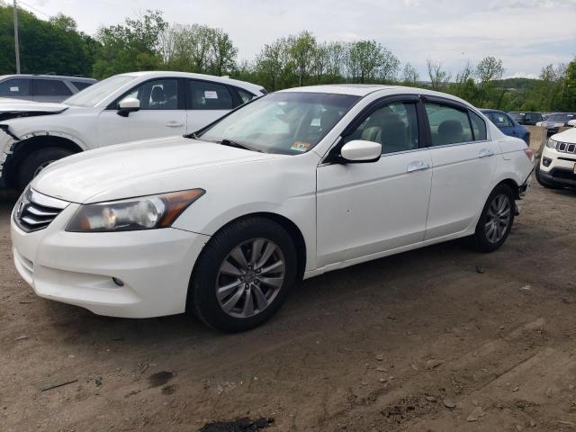 HONDA ACCORD 2011 1hgcp3f84ba026848