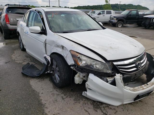 HONDA ACCORD EXL 2011 1hgcp3f84ba028017