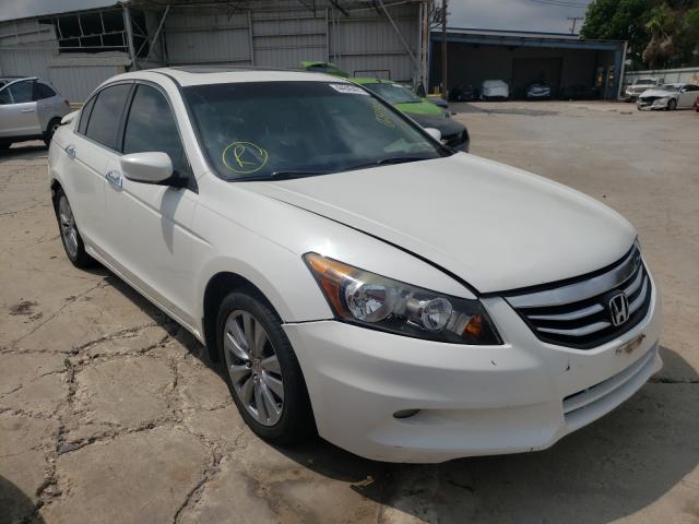 HONDA ACCORD EXL 2011 1hgcp3f84ba029135