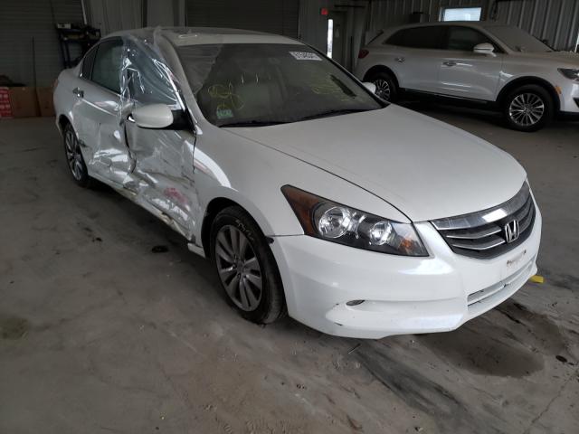 HONDA ACCORD EXL 2012 1hgcp3f84ca010196