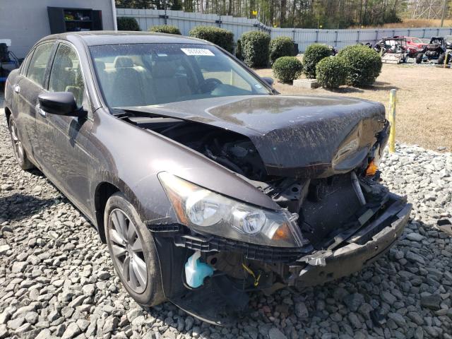 HONDA ACCORD EXL 2012 1hgcp3f84ca025474