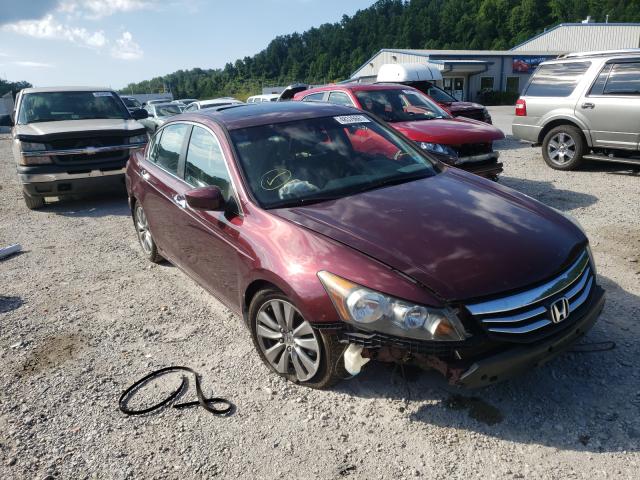 HONDA ACCORD EXL 2012 1hgcp3f84ca041156