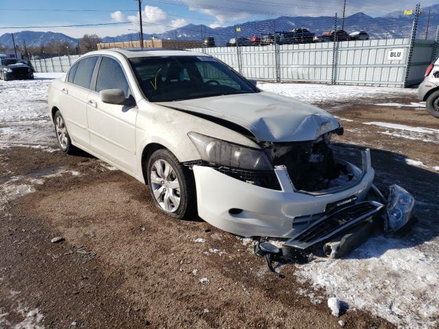 HONDA ACCORD EXL 2010 1hgcp3f85aa002296