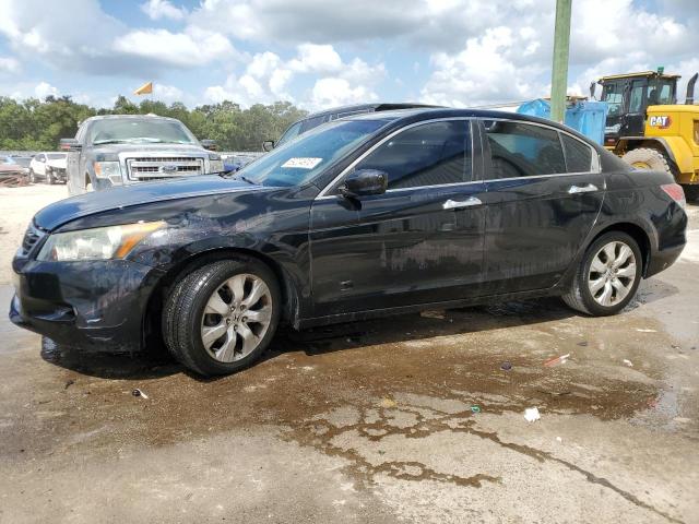 HONDA ACCORD EXL 2010 1hgcp3f85aa029983