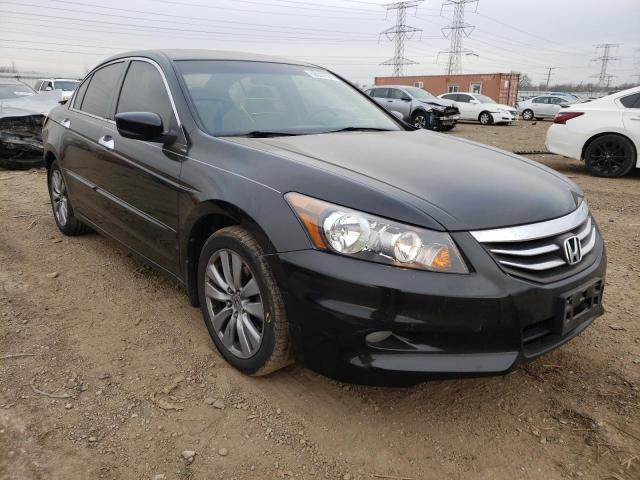 HONDA ACCORD EXL 2011 1hgcp3f85ba002929