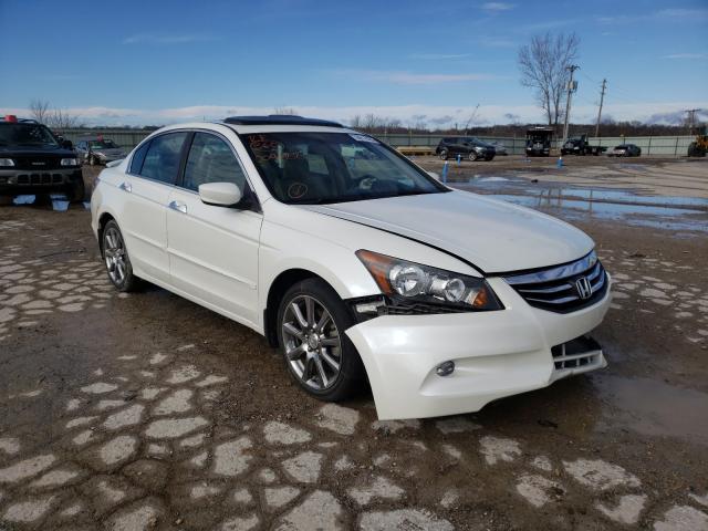 HONDA ACCORD EXL 2011 1hgcp3f85ba004888