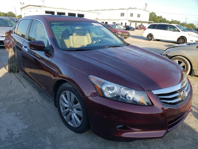 HONDA ACCORD EXL 2011 1hgcp3f85ba006415