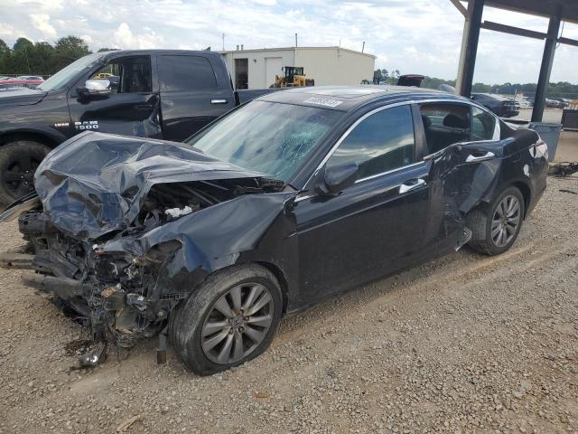 HONDA ACCORD 2011 1hgcp3f85ba008455