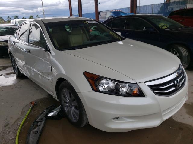 HONDA ACCORD EXL 2011 1hgcp3f85ba010108