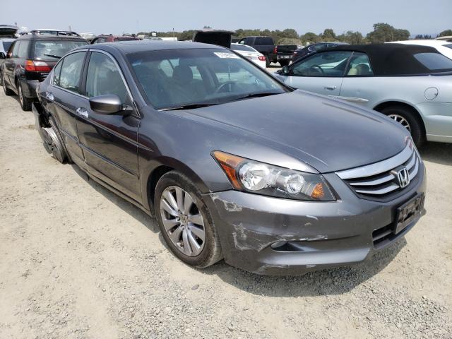 HONDA ACCORD EXL 2011 1hgcp3f85ba011081