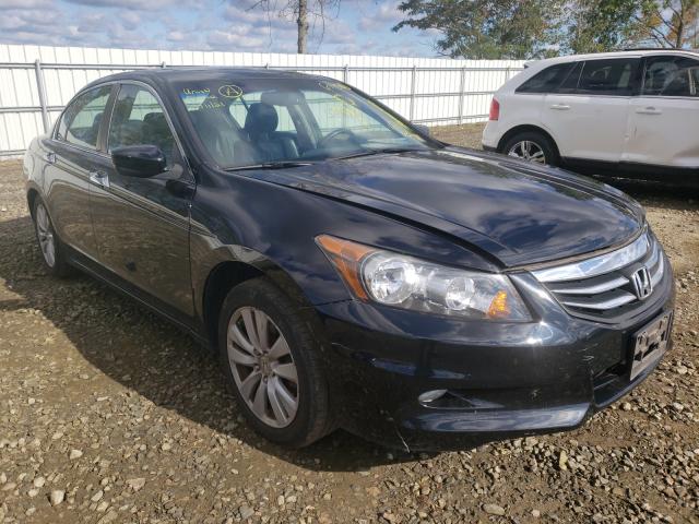 HONDA ACCORD EXL 2011 1hgcp3f85ba011100