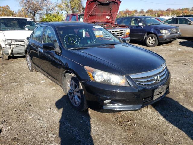 HONDA ACCORD EXL 2011 1hgcp3f85ba011131