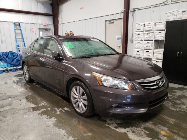 HONDA ACCORD EXL 2011 1hgcp3f85ba011985