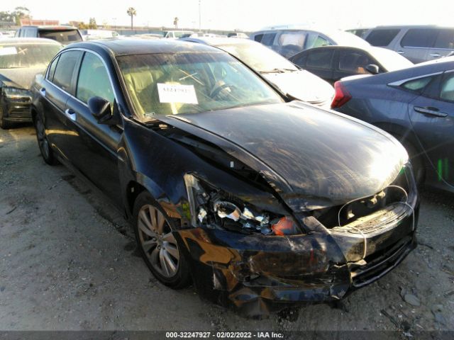 HONDA ACCORD SDN 2011 1hgcp3f85ba014529