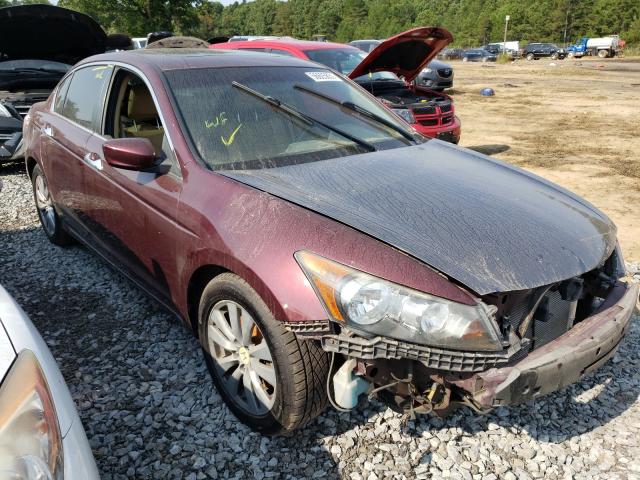 HONDA ACCORD EXL 2011 1hgcp3f85ba015602