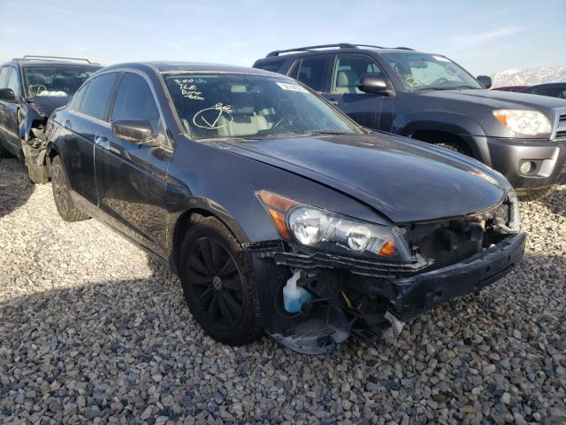 HONDA ACCORD EXL 2011 1hgcp3f85ba018094