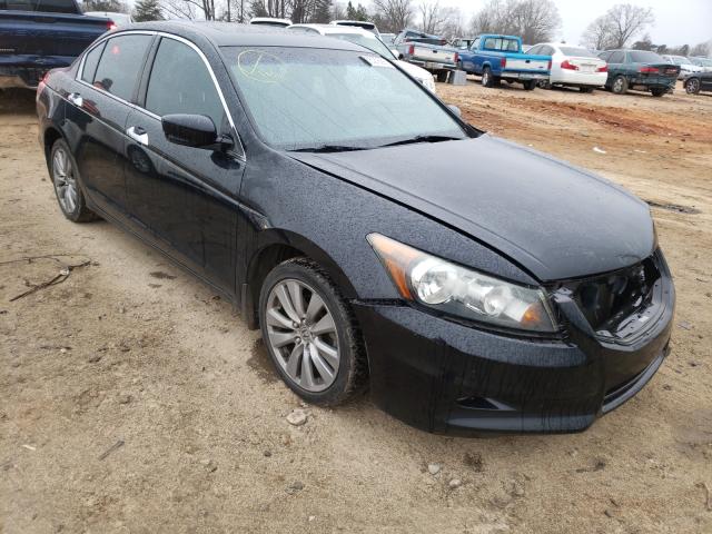 HONDA ACCORD EXL 2011 1hgcp3f85ba019455