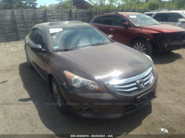 HONDA ACCORD SDN 2011 1hgcp3f85ba019519