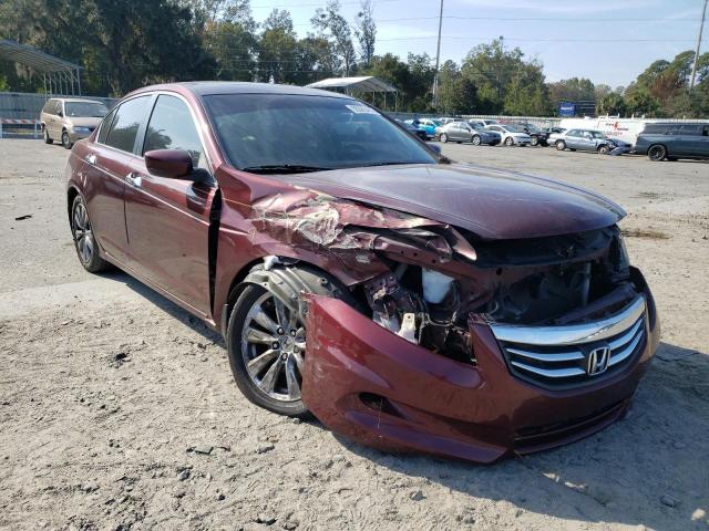 HONDA ACCORD EXL 2011 1hgcp3f85ba019777