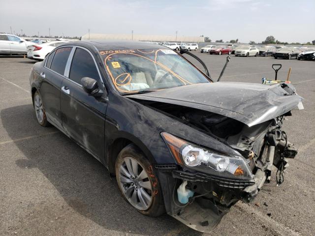 HONDA ACCORD EXL 2011 1hgcp3f85ba021268