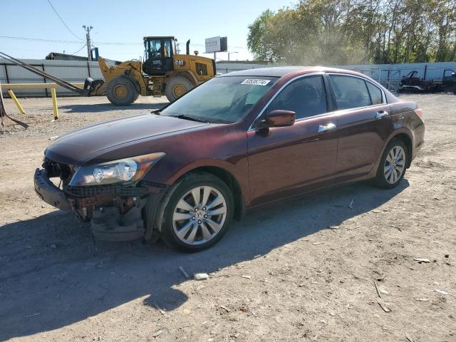 HONDA ACCORD 2011 1hgcp3f85ba021819