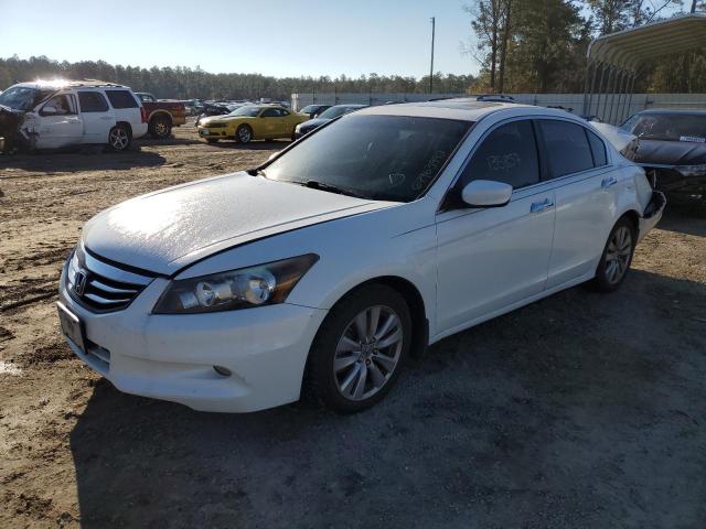 HONDA ACCORD EXL 2011 1hgcp3f85ba024770