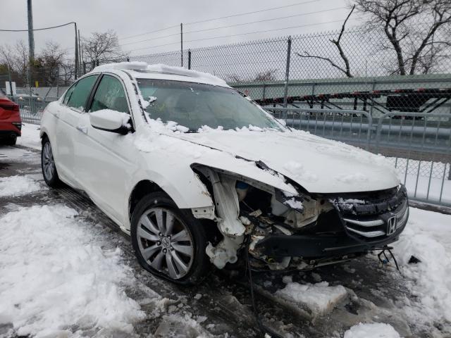 HONDA ACCORD EXL 2011 1hgcp3f85ba027328