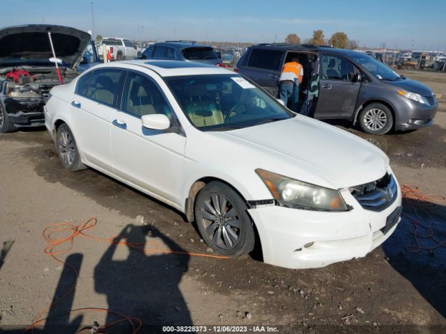 HONDA ACCORD 2011 1hgcp3f85ba028138