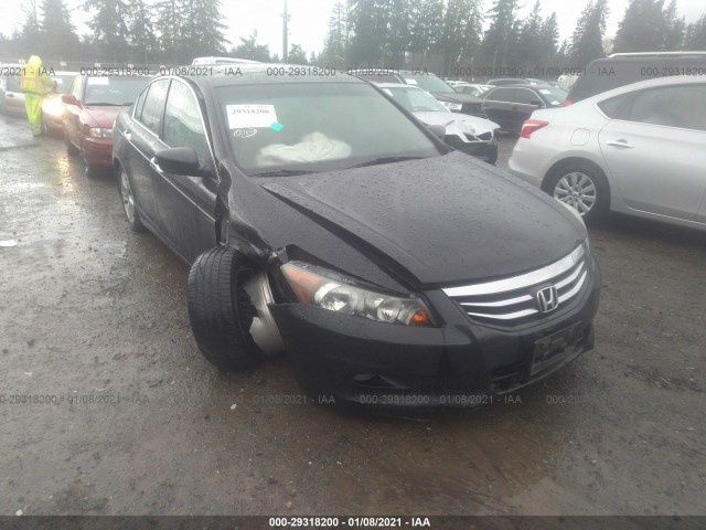 HONDA ACCORD SDN 2011 1hgcp3f85ba029418