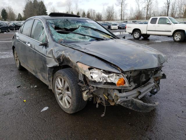 HONDA ACCORD EXL 2011 1hgcp3f85ba030326