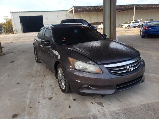 HONDA ACCORD EXL 2011 1hgcp3f85ba031119