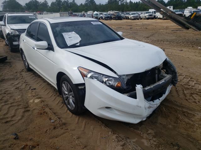 HONDA ACCORD EXL 2011 1hgcp3f85ba031511