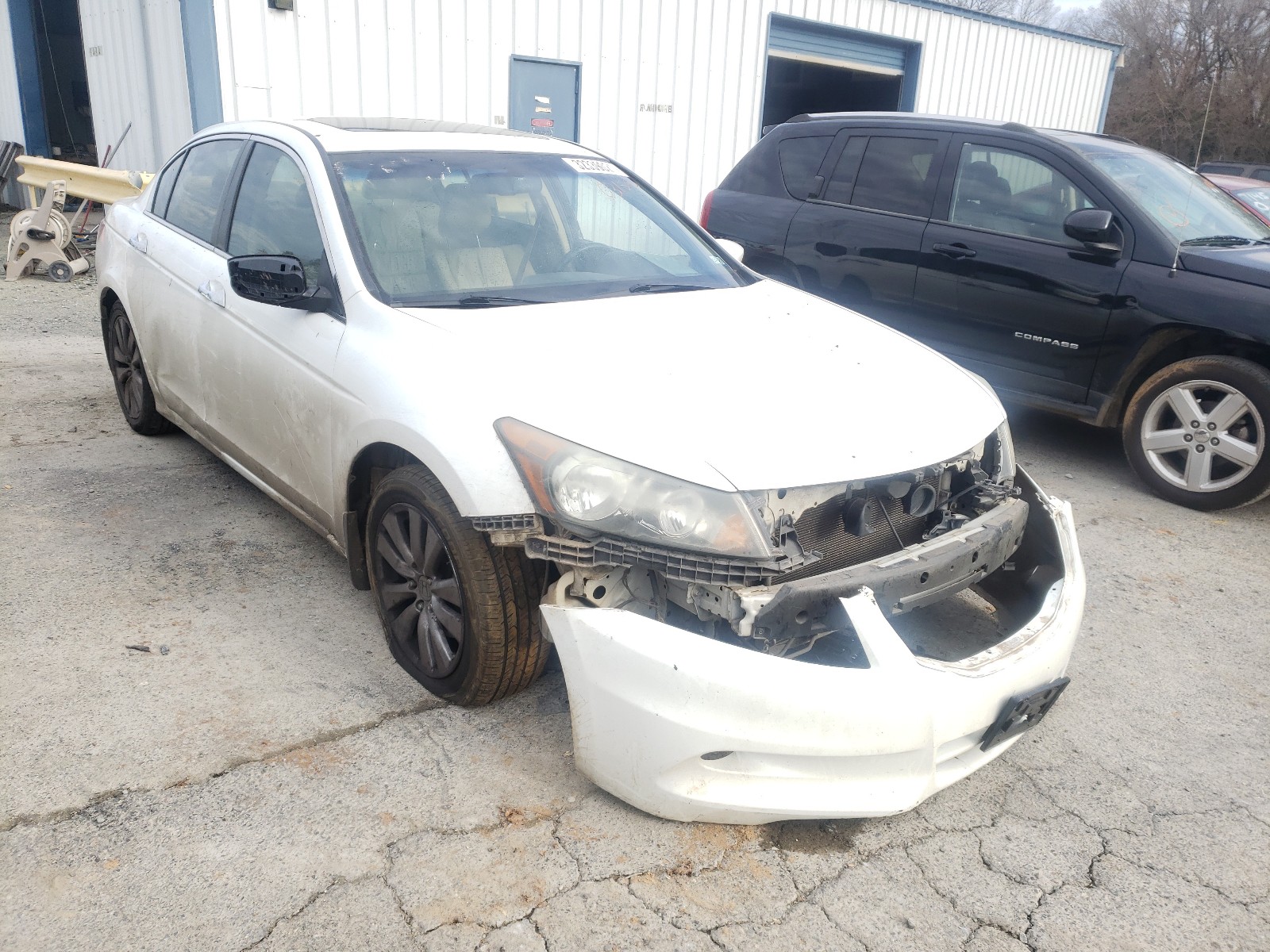 HONDA ACCORD EXL 2011 1hgcp3f85ba031590