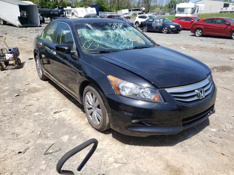 HONDA ACCORD EXL 2011 1hgcp3f85ba031704