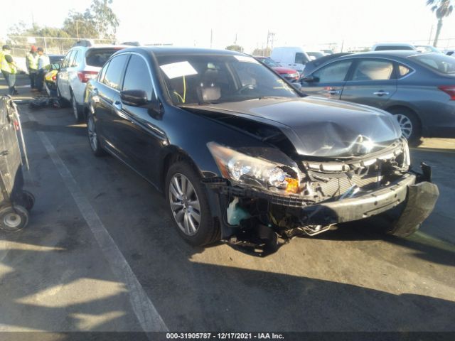 HONDA ACCORD SDN 2011 1hgcp3f85ba031850