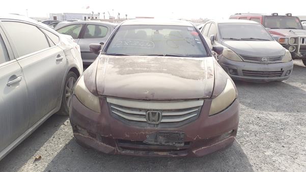 HONDA ACCORD 2011 1hgcp3f85ba032836