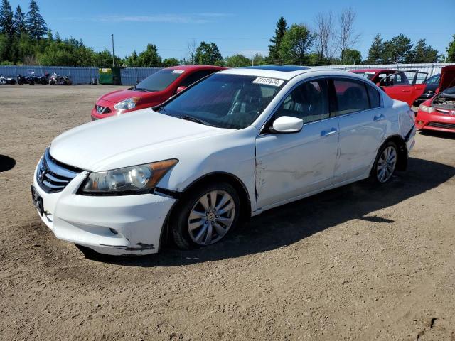 HONDA ACCORD 2011 1hgcp3f85ba800119