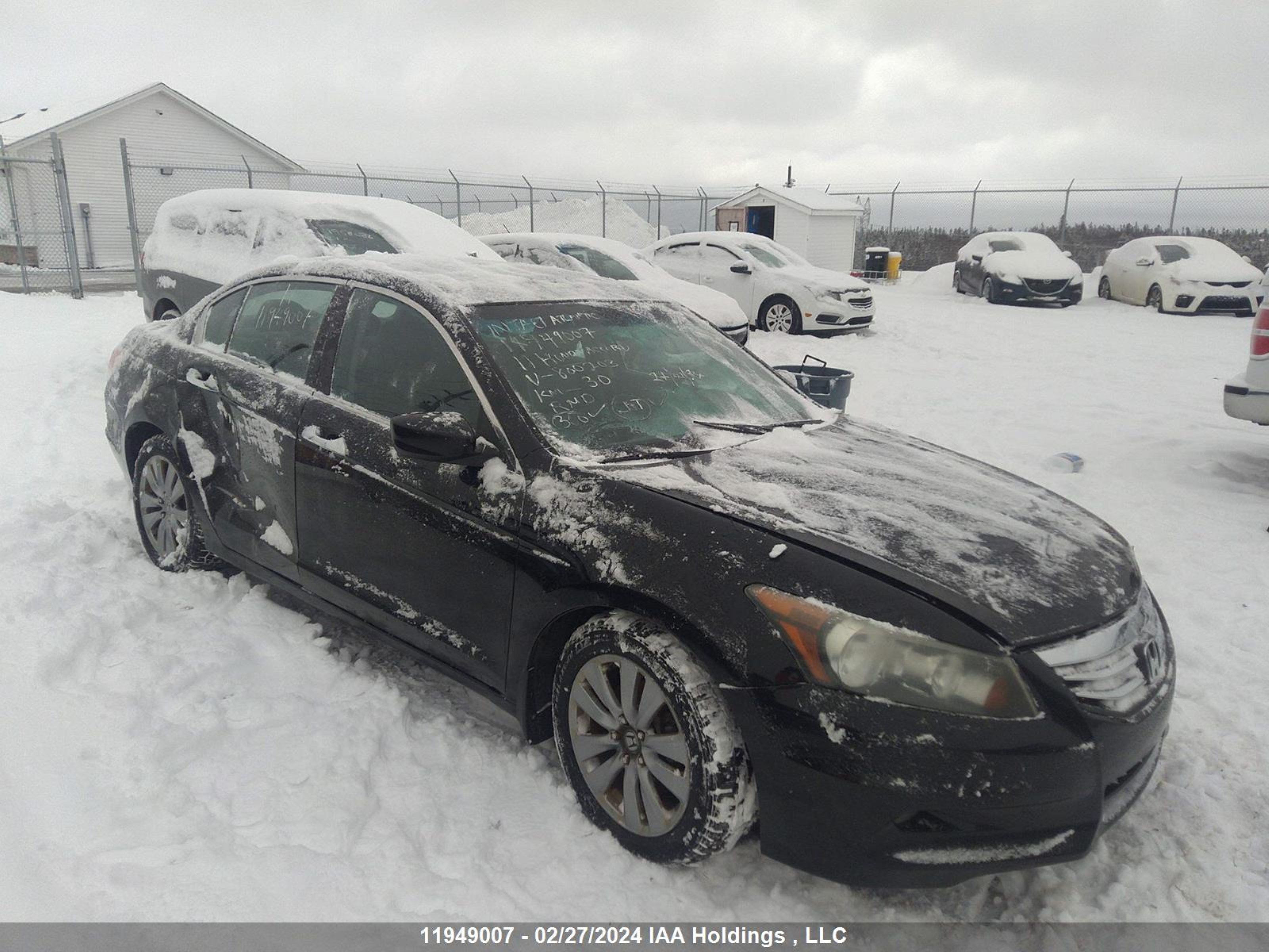 HONDA ACCORD 2011 1hgcp3f85ba800203