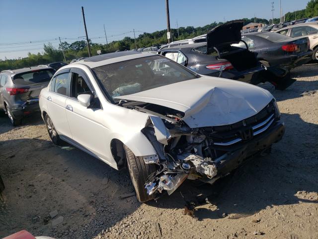 HONDA ACCORD EXL 2012 1hgcp3f85ca012765