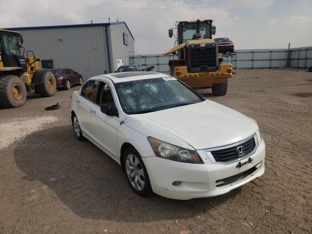 HONDA ACCORD EXL 2010 1hgcp3f86aa001013